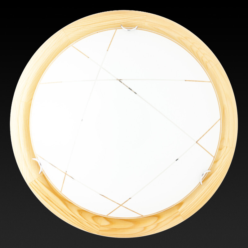 Накладной светильник TOPLIGHT TL9013Y-02PN