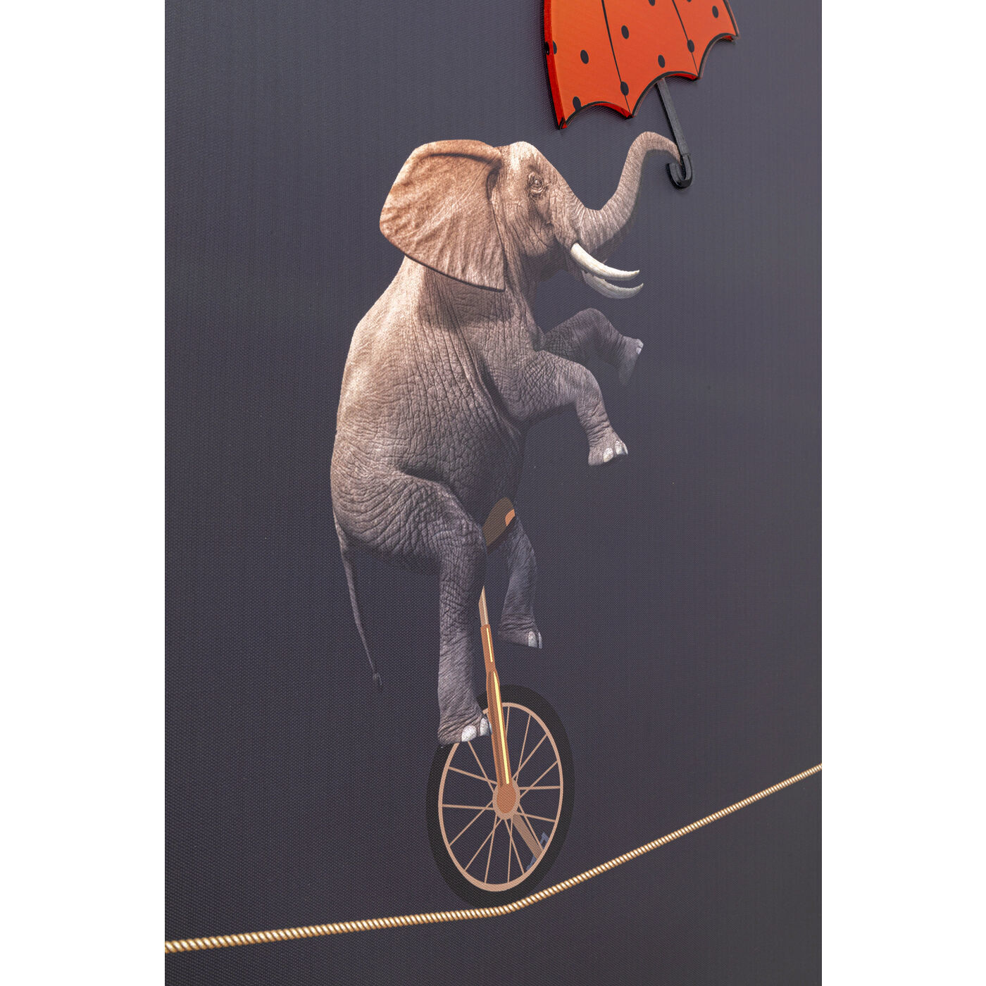 Картина в рамке Trapeze 53439 Kare