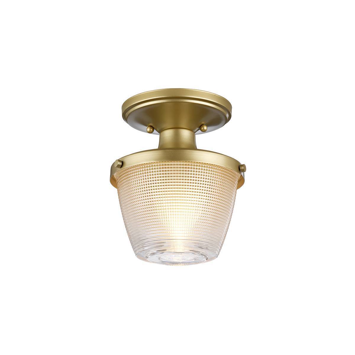 Потолочный светильник для ванных комнат Quoizel QZ-DUBLIN-SF-PNBR