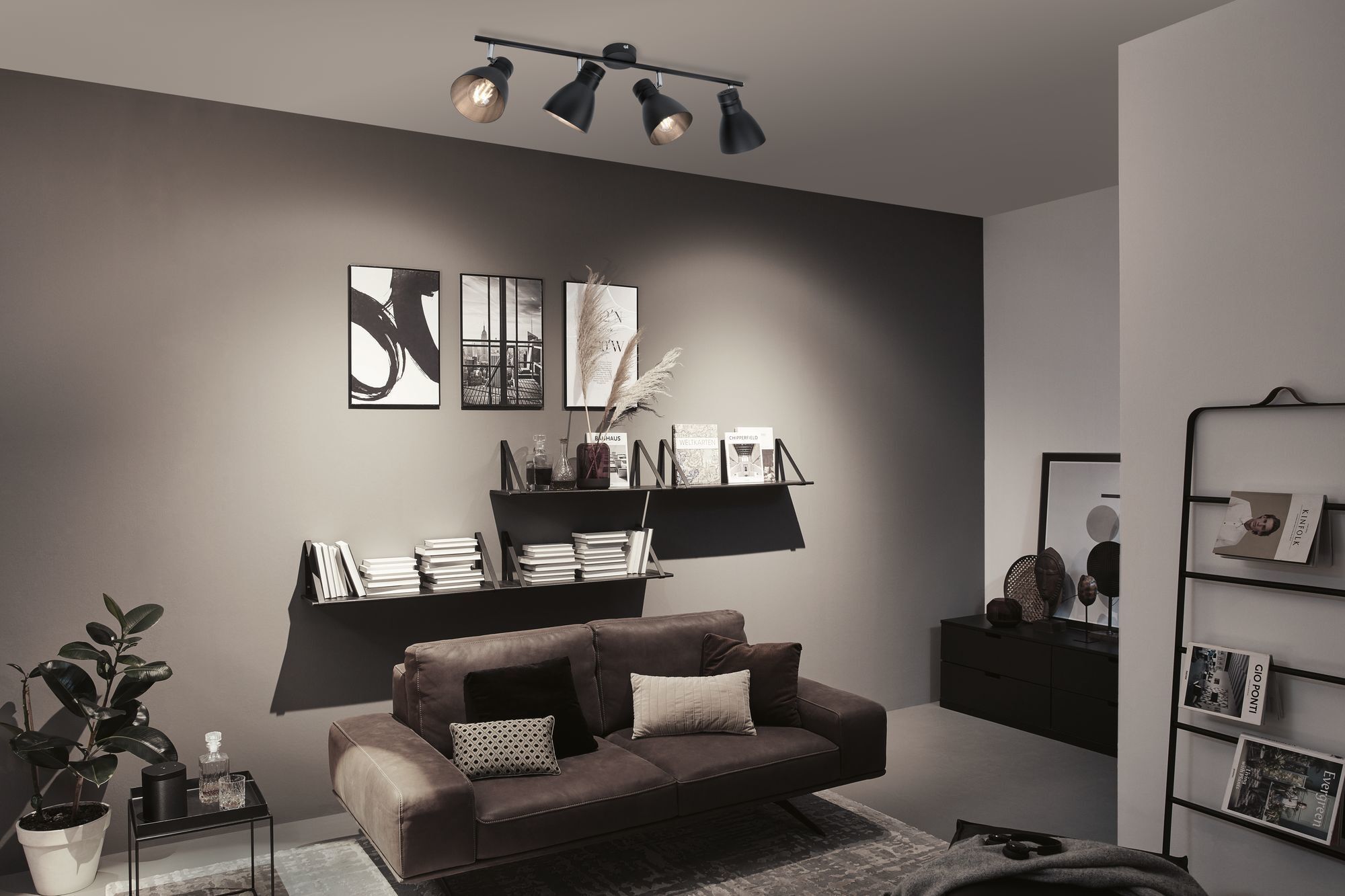 Спот Paulmann 66762