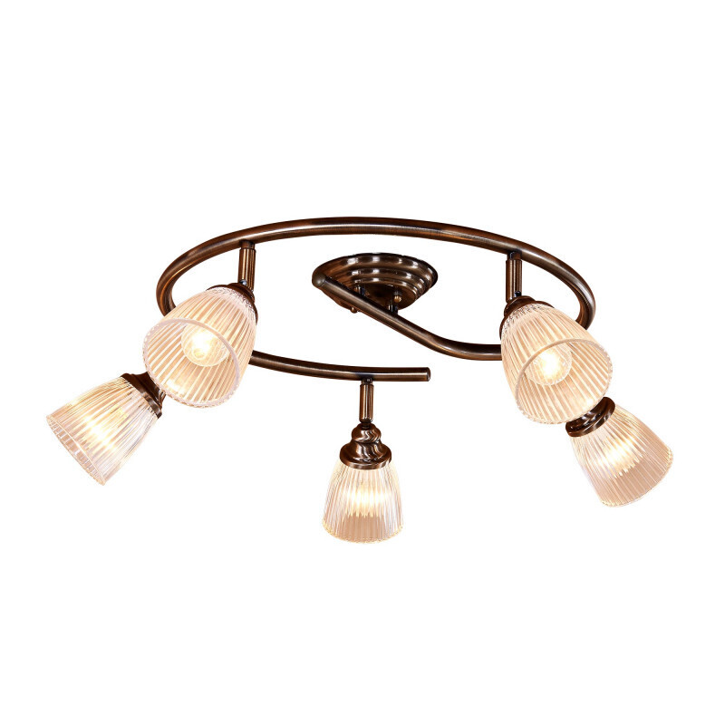 Спот Citilux CL539551