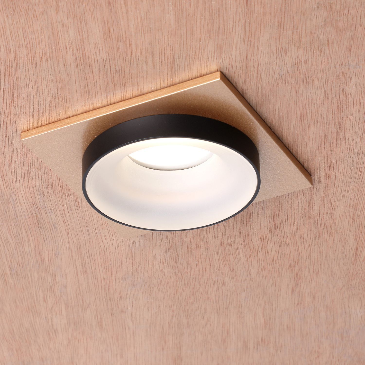 Встраиваемый светильник Favourite 2887-1C