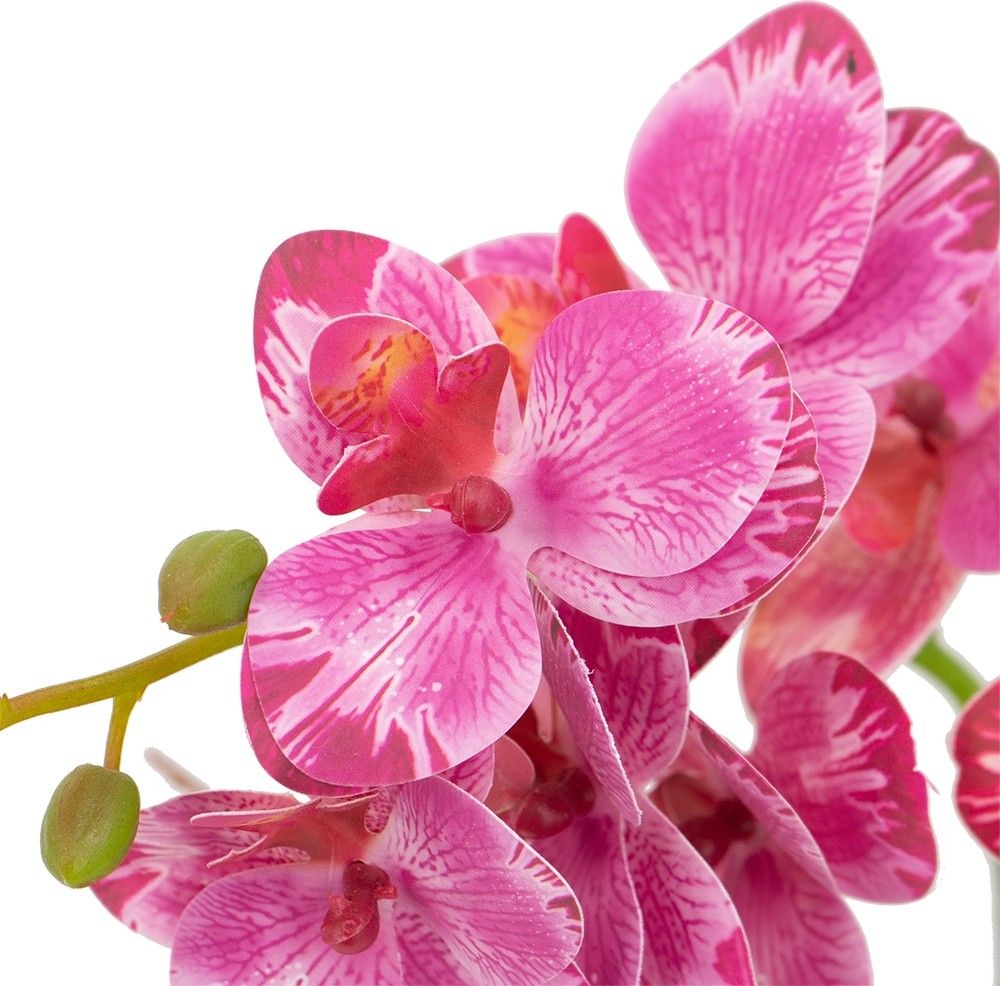 Растение декоративное Орхидея Glasar 420024-AB