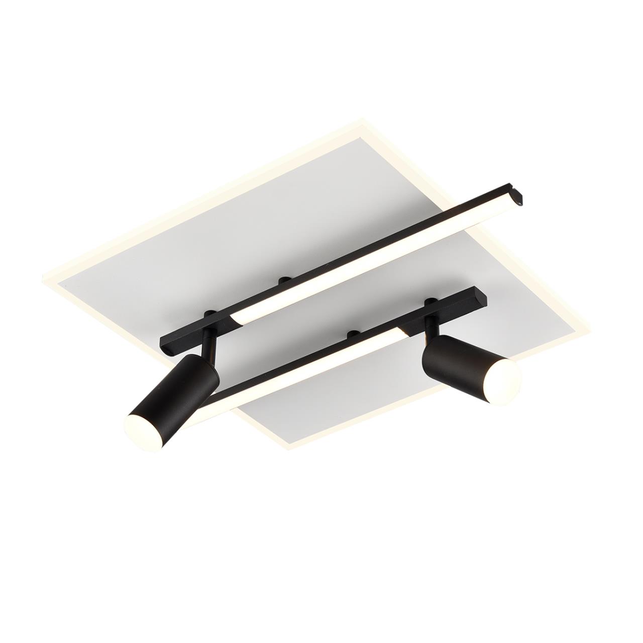 Светильник потолочный Lumion 8256/40CL