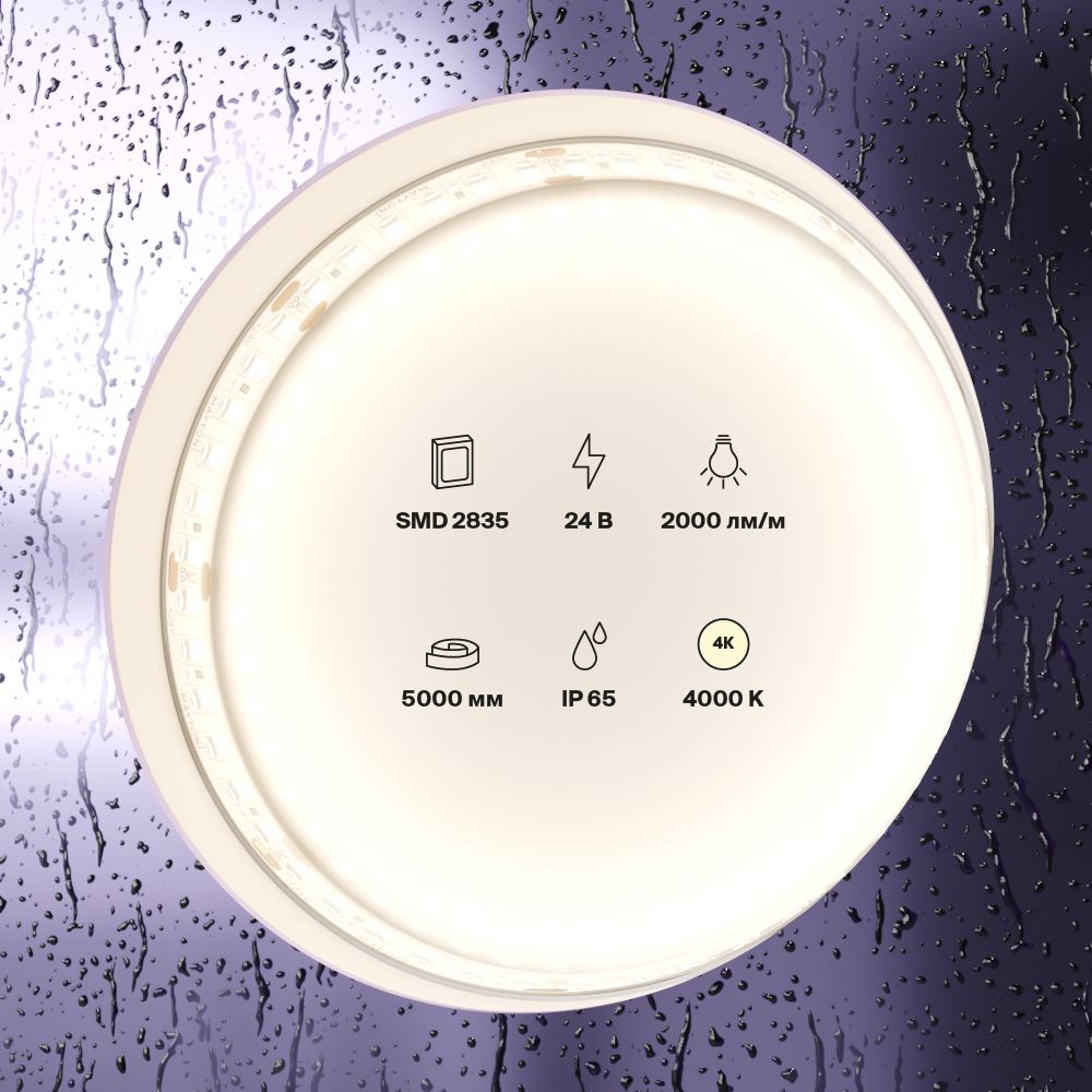 Светодиодная лента Maytoni Led Strip 10158