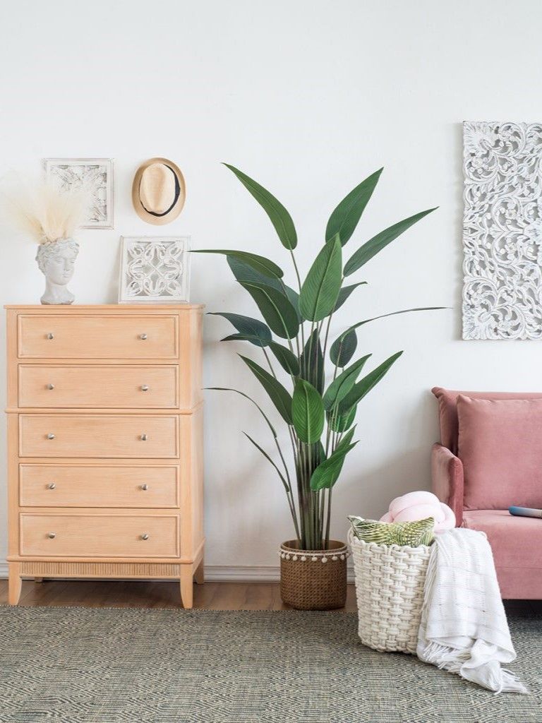 Растение декоративное Glasar SA11849-AB