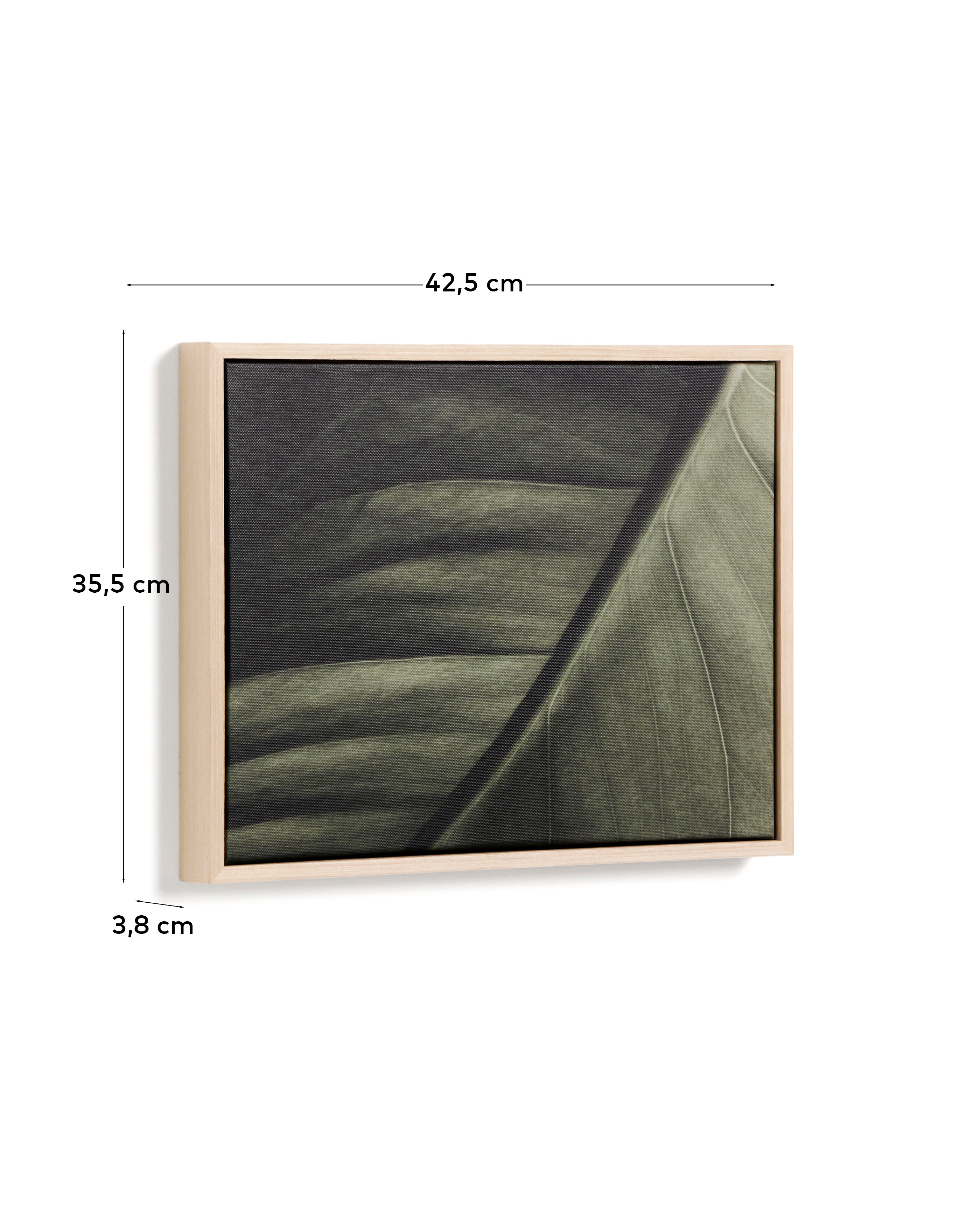 Фотография листа Foliae размер 32,5 x 42,5 см La Forma 481677