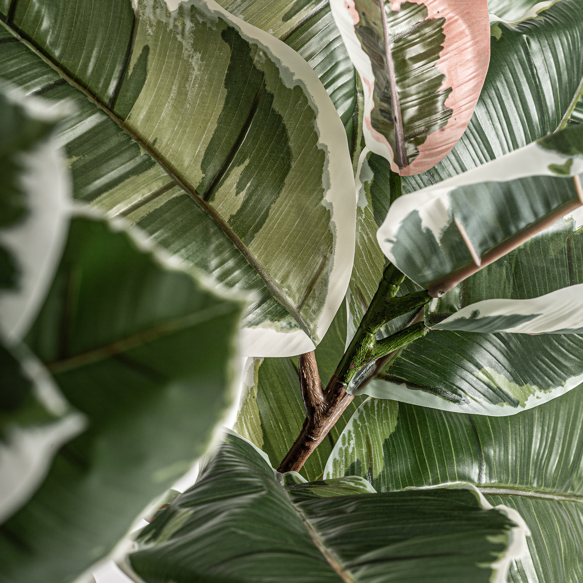 Искусственное растение ROBLE BLANCO Vical