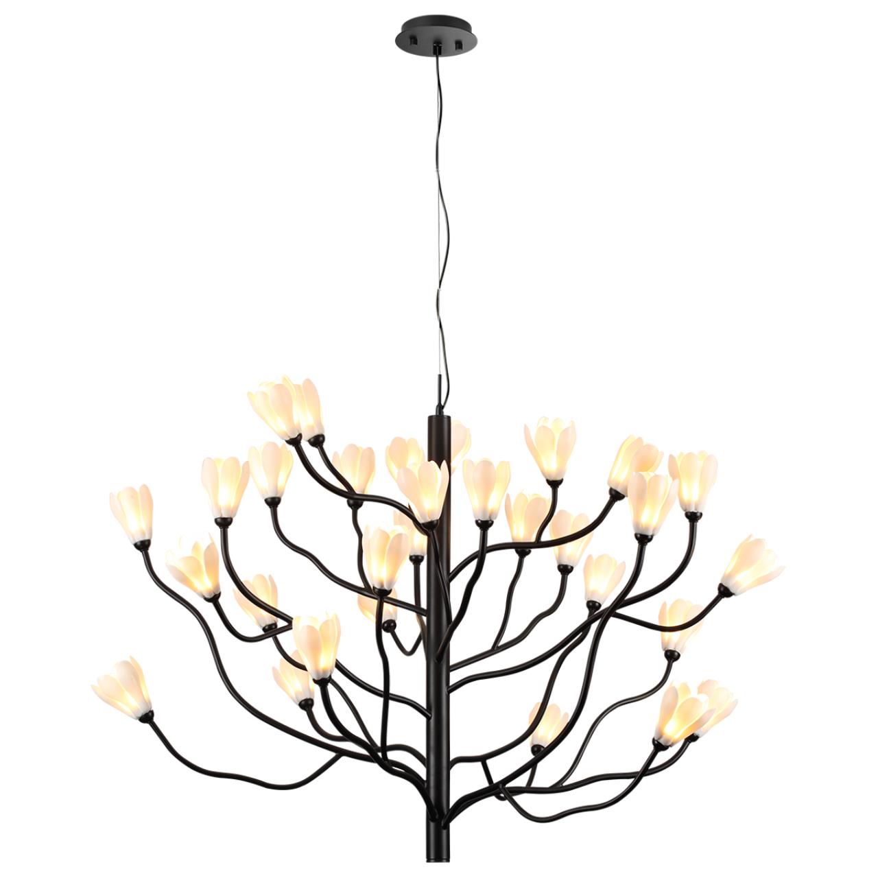 Люстра Odeon Light 5090/30