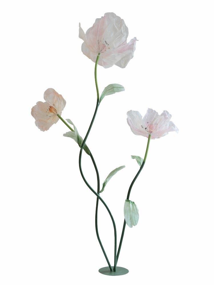 Растение декоративное Мак Glasar F98605