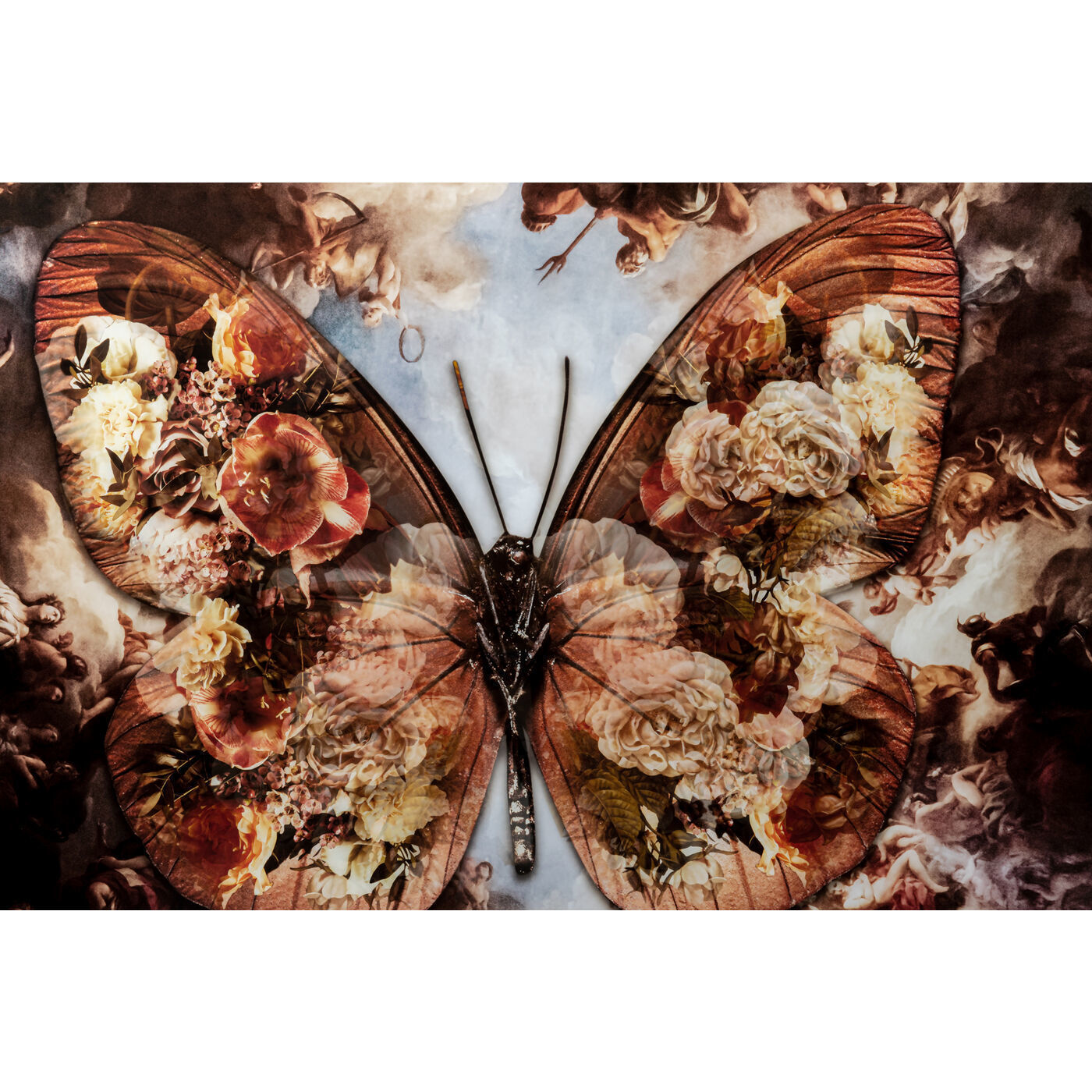 Картина Butterfly 53584 Kare