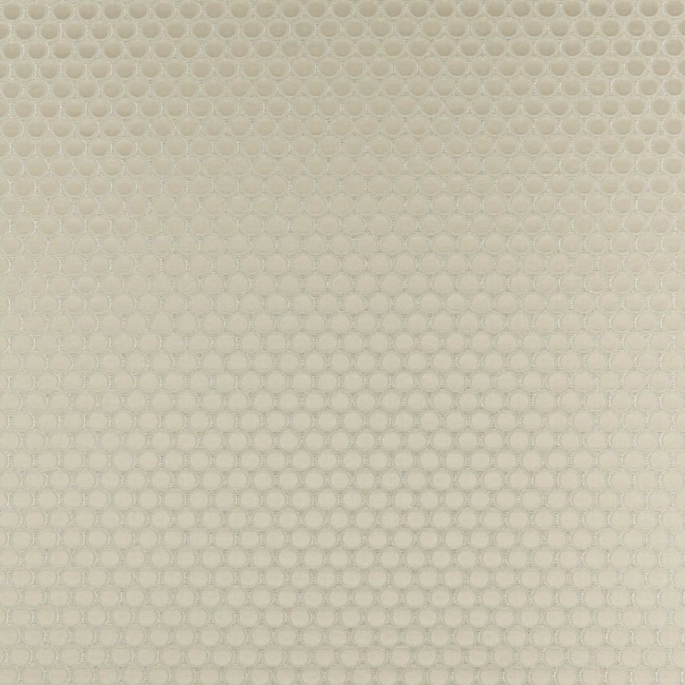 Текстиль Clarke & Clarke Imperiale F0867/05