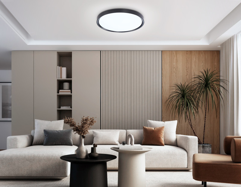 Накладной светильник Ambrella Light FZ1248