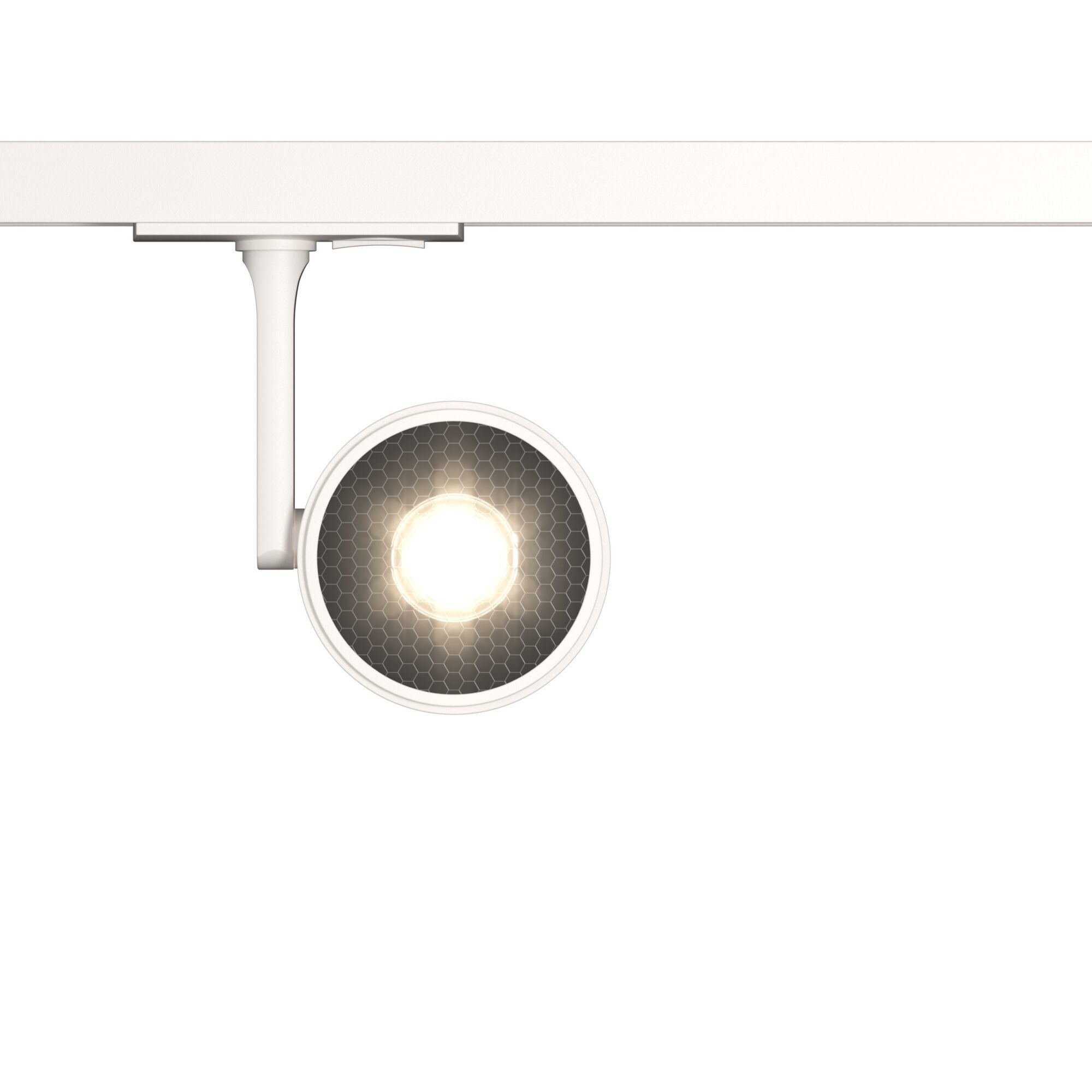 Трековый светильник Maytoni TR024-1-10W3K