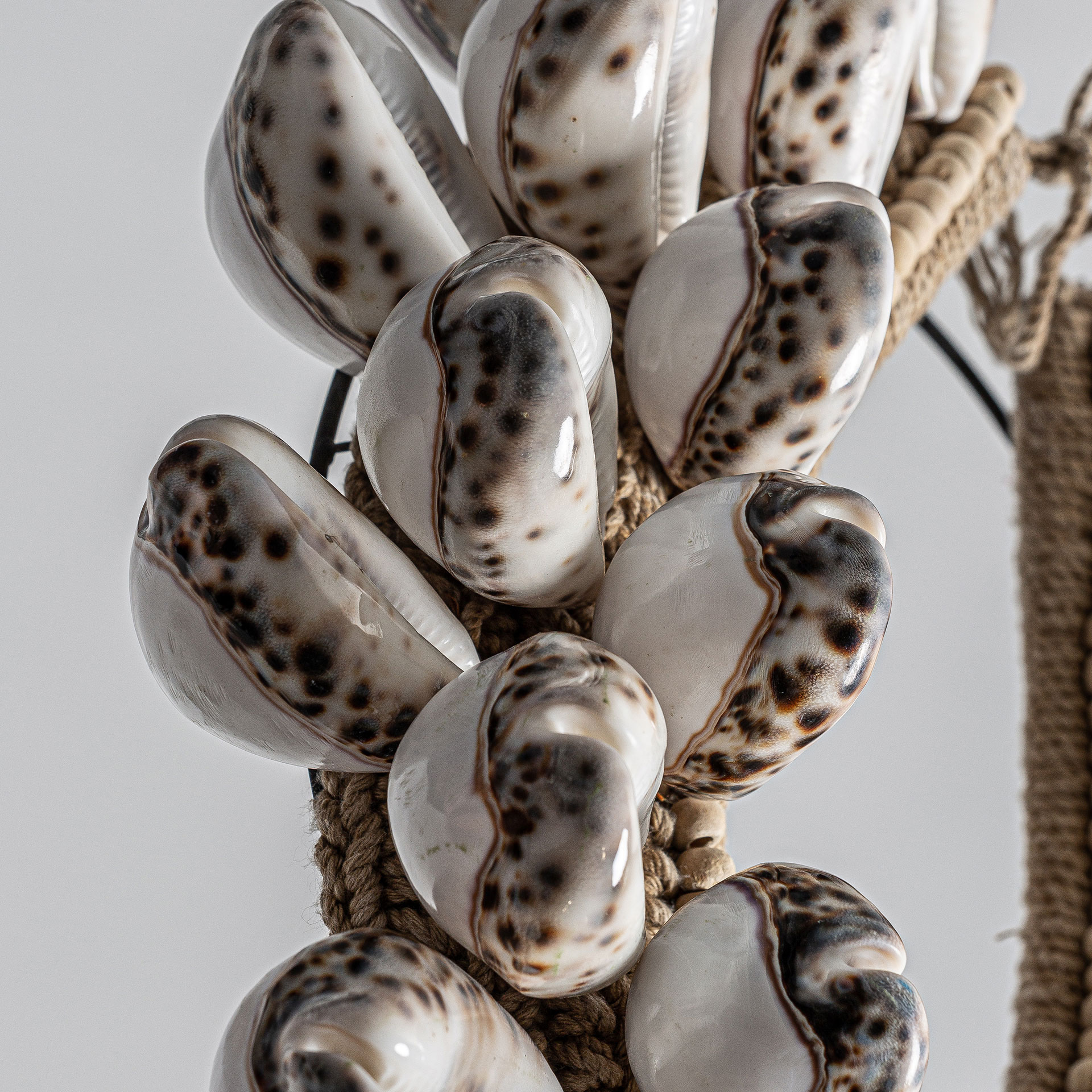 Фигурные ракушки 20557 Vical