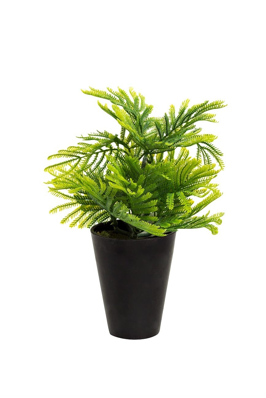 Туя в горшке Garda Decor 8J-18CK0019