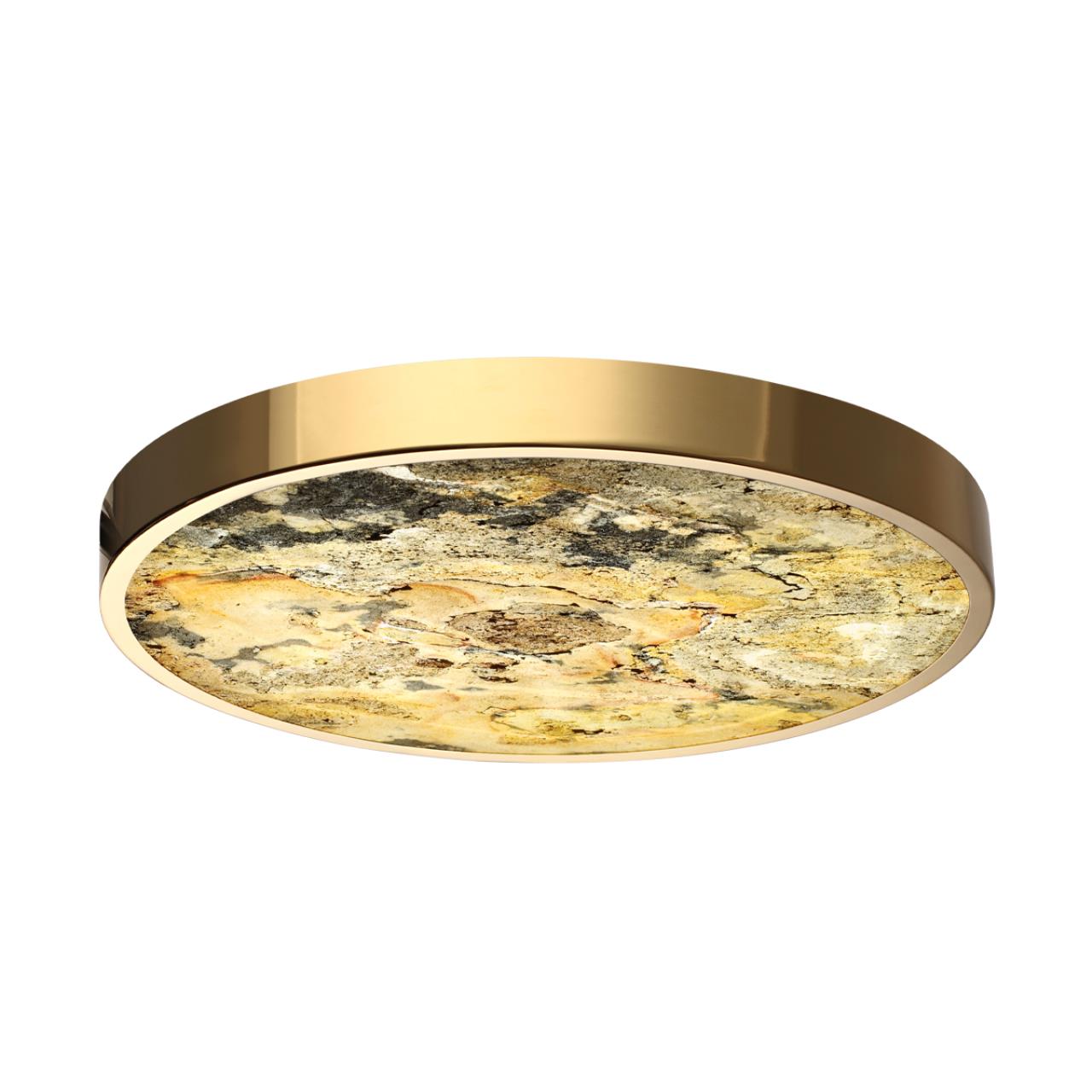 Настенно-потолочный светильник Odeon Light 5079/40L