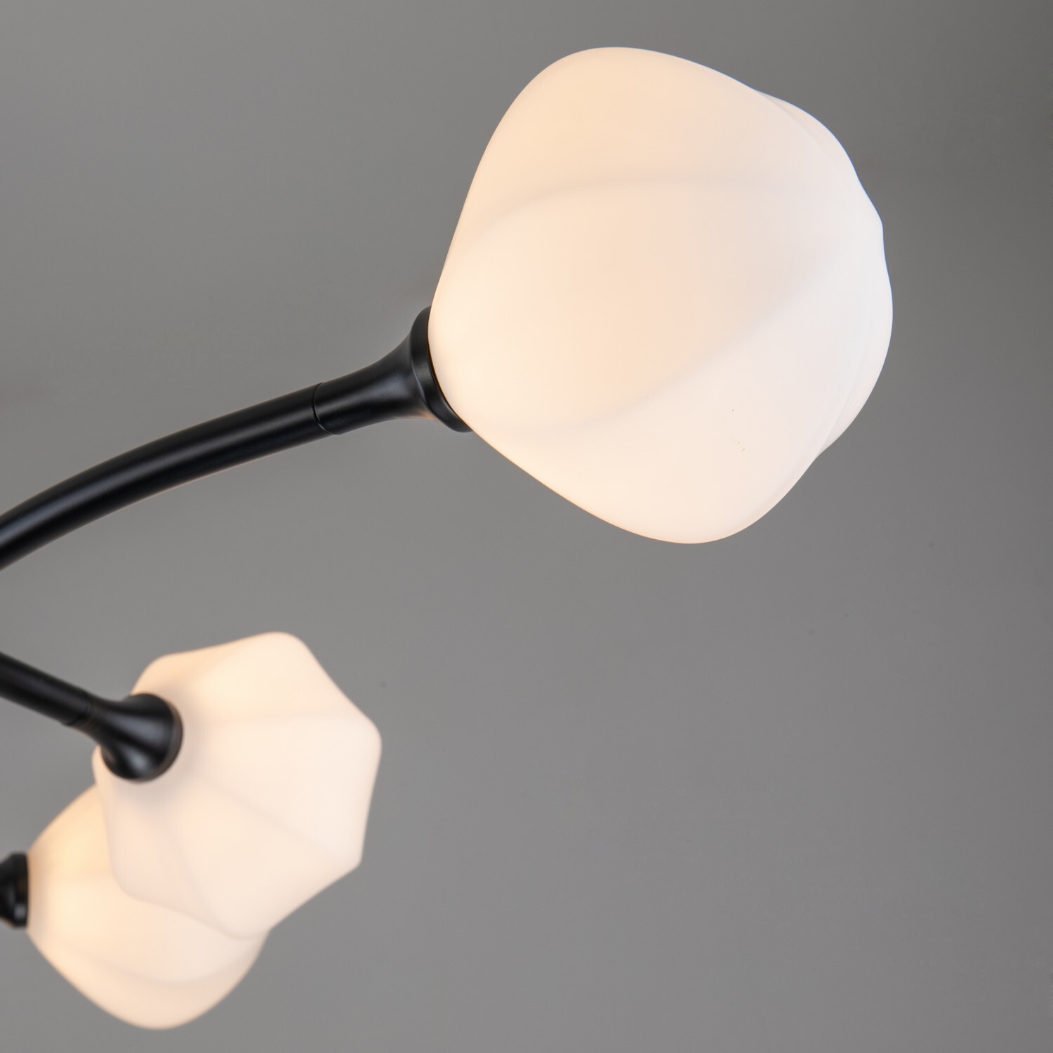 Потолочный светильник Favourite 2688-9P