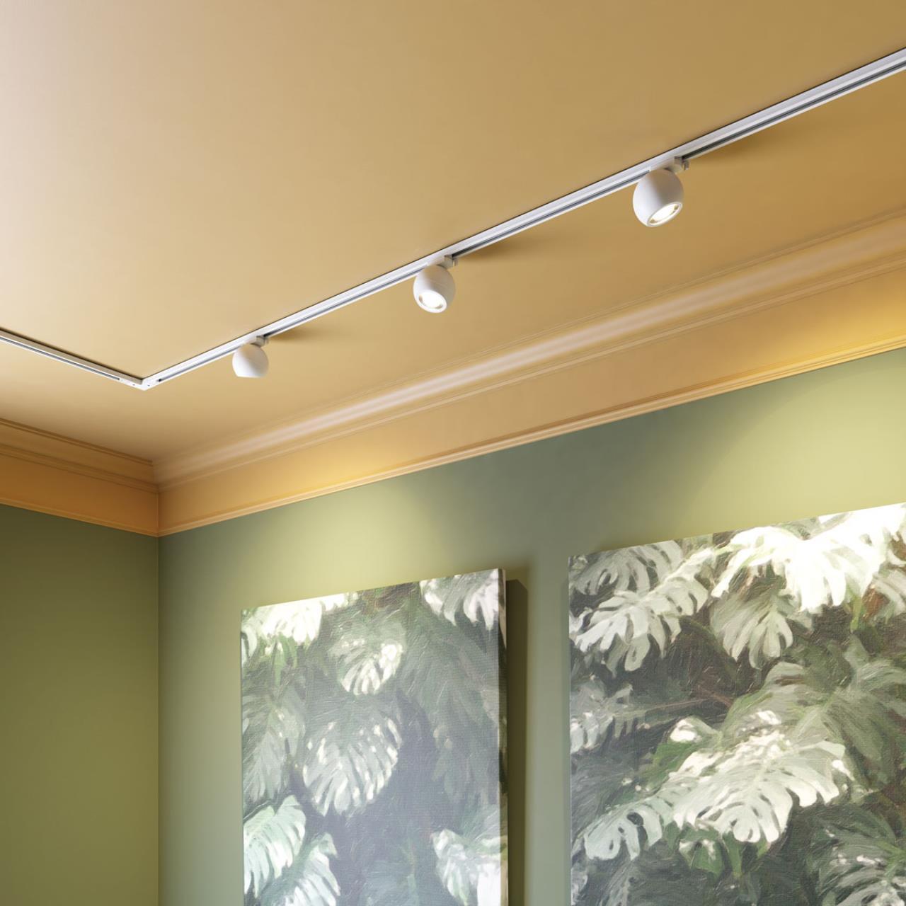 Однофазный трековый светильник Novotech 358353