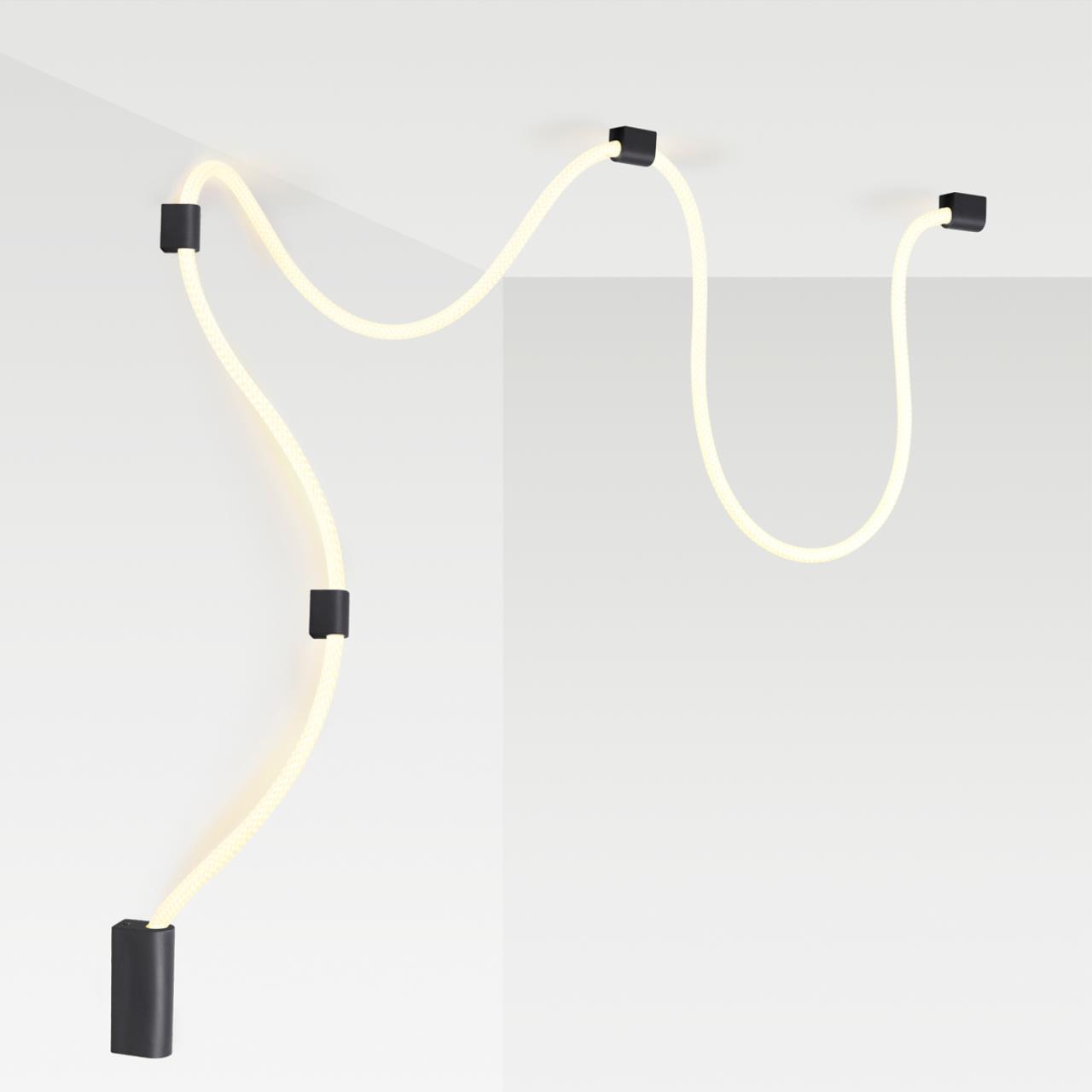 Настенно-потолочный светильник Odeon Light 4391/30CL