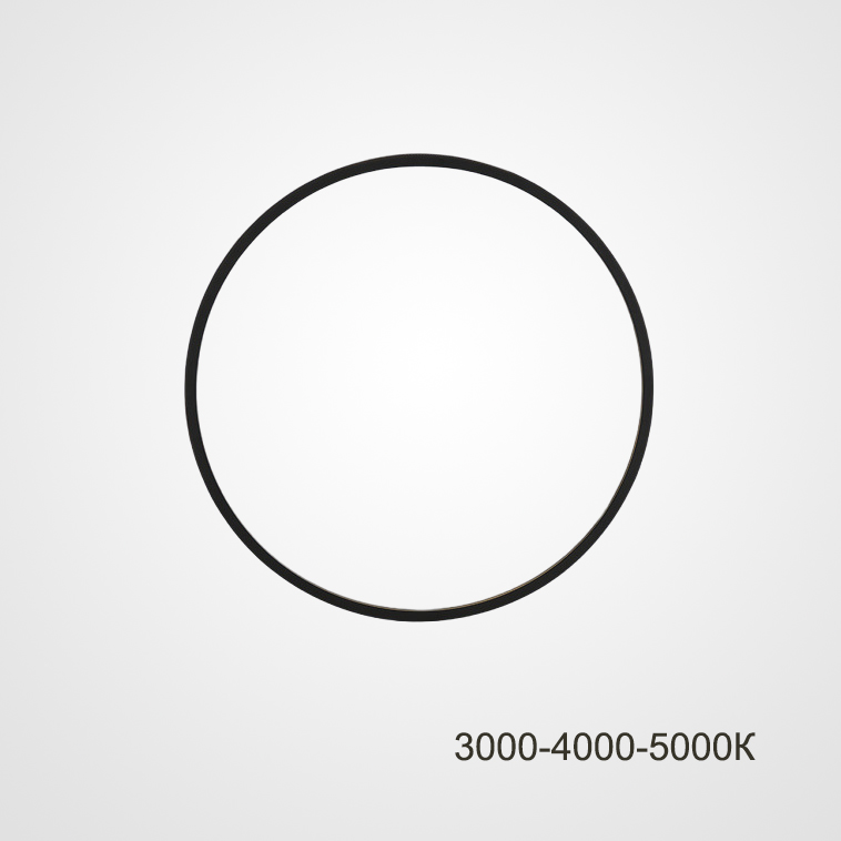 Настенный светильник GUARD D30 Трехцветный свет by ImperiumLoft