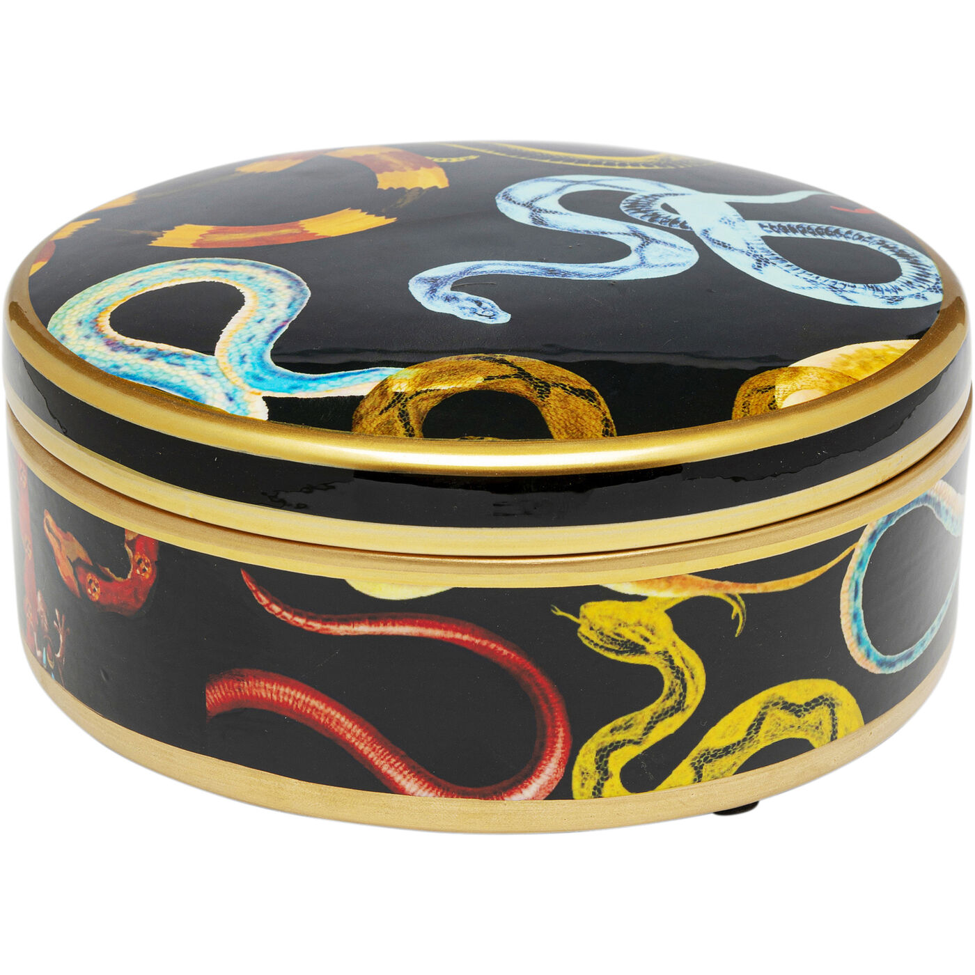 Банка декоративная Snake Party Ø19 см KARE 56121