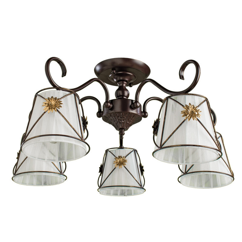 Накладная люстра Arte Lamp A5495PL-5BR