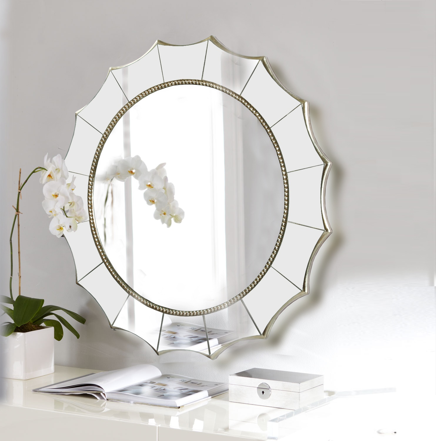 Зеркало в раме Falcon Art-Zerkalo MH2293SL