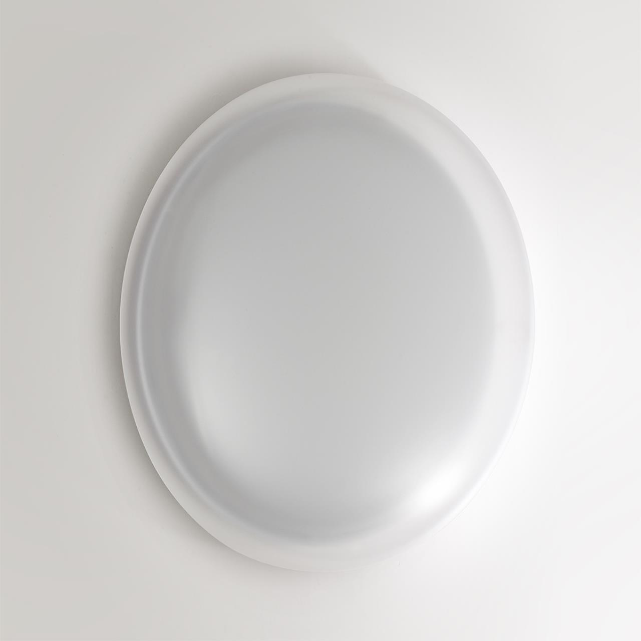 Настенно-потолочный светильник Sonex 7776/DLN