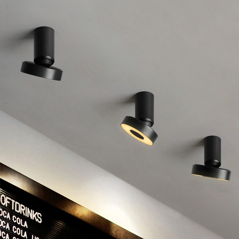 Потолочный точечный светильник STIR Silver by ImperiumLoft