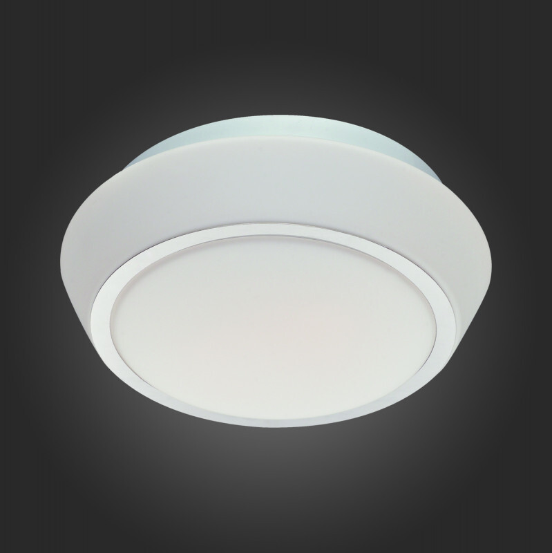 Накладной светильник ST Luce SL496.502.02