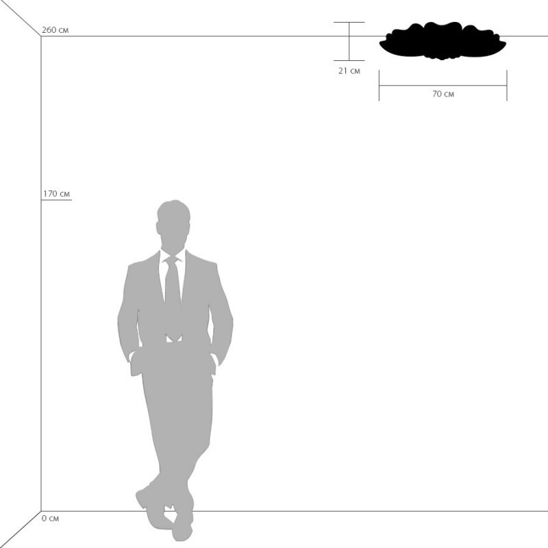 Накладная люстра Lightstar 804040