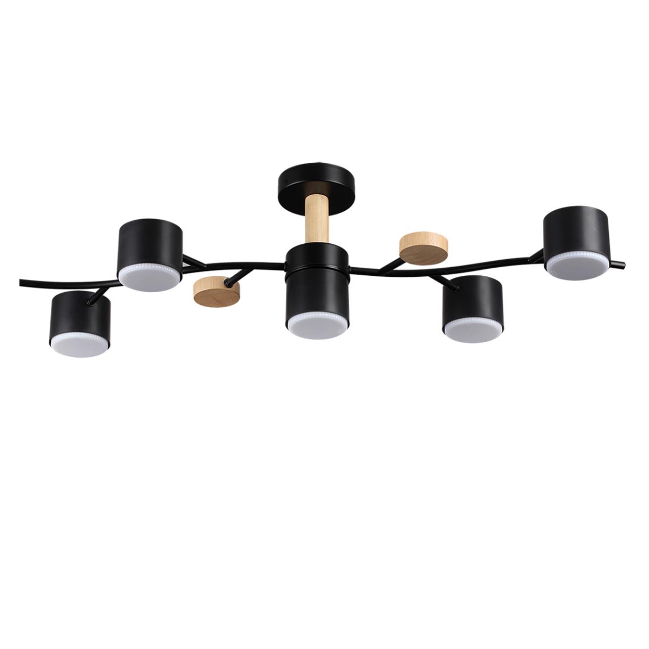 Потолочный светильник Lumion 8194/5C