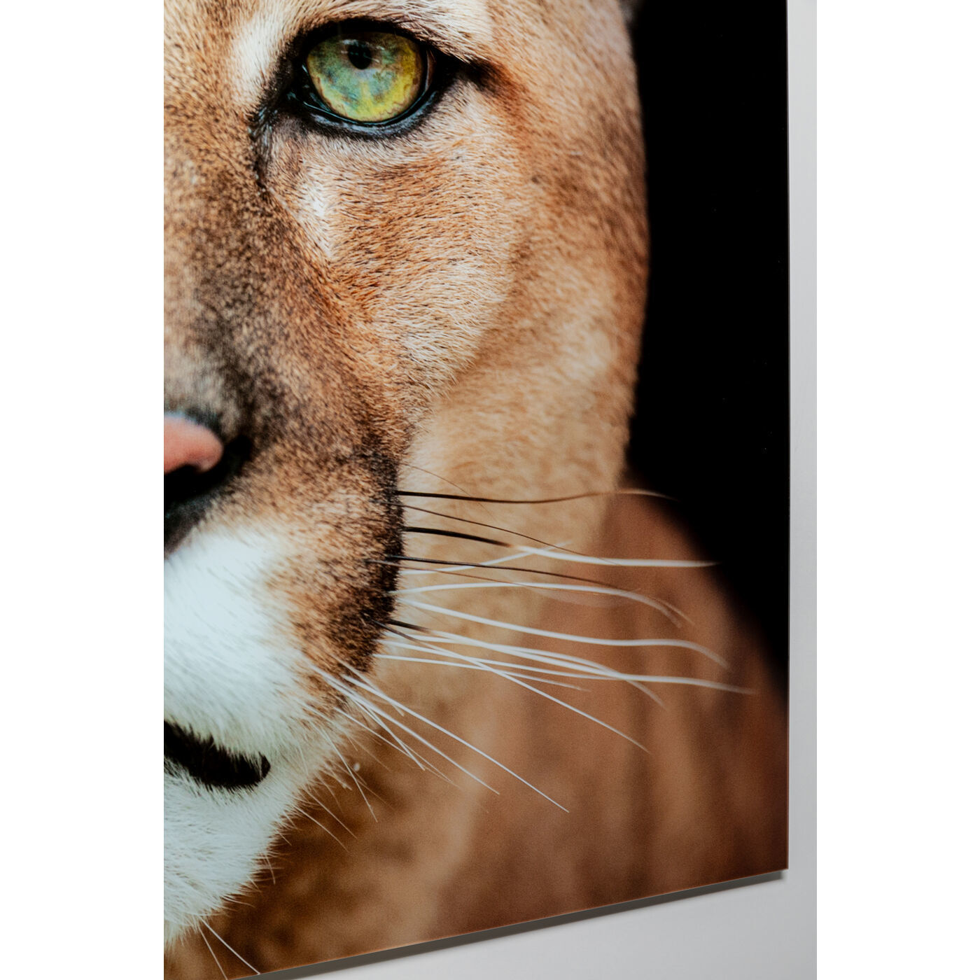 Картина Lioness 53598 Kare