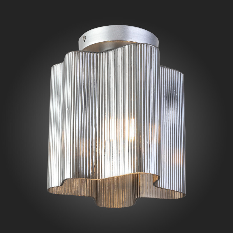 Накладной светильник ST Luce SL117.702.01