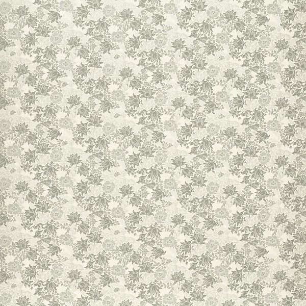 Текстиль Clarke &amp; Clarke William Morris Weaves F1743/01