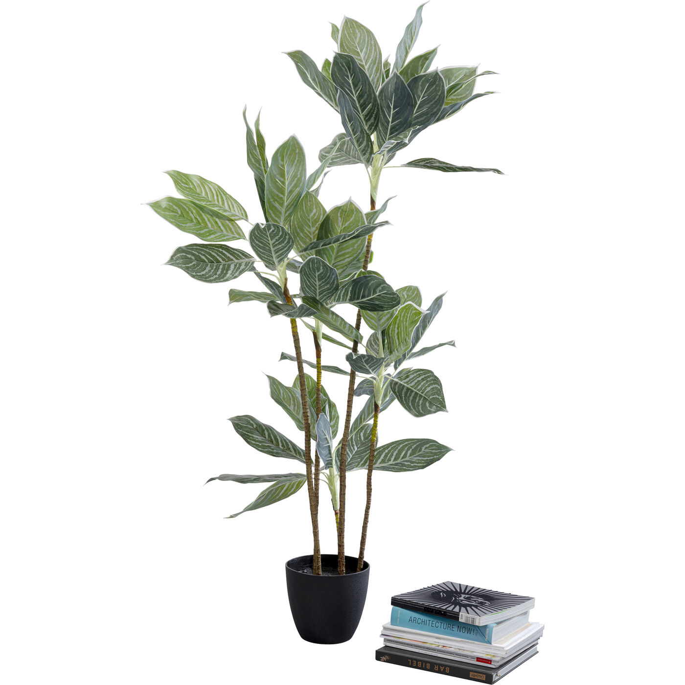 Растение декоративное Calathea 140 см KARE 55914