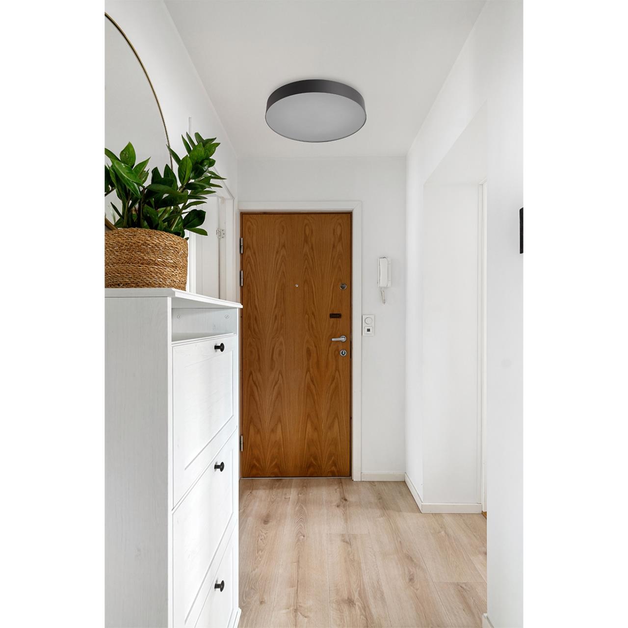 Настенно-потолочный светильник Sonex 7780/DL