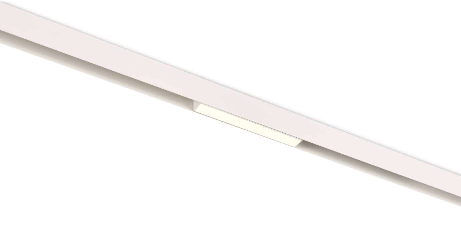 Светодиодный светильник Donolux DL20293TW8WTuya