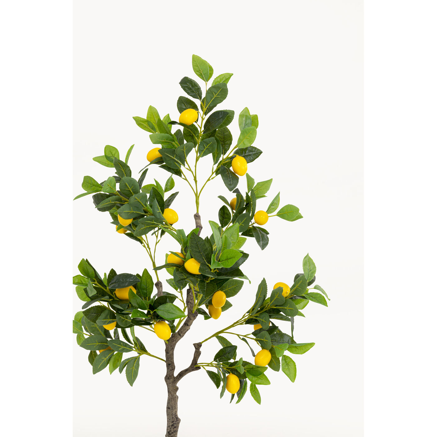 Растение декоративное Lemon Tree 120cm KARE 58352