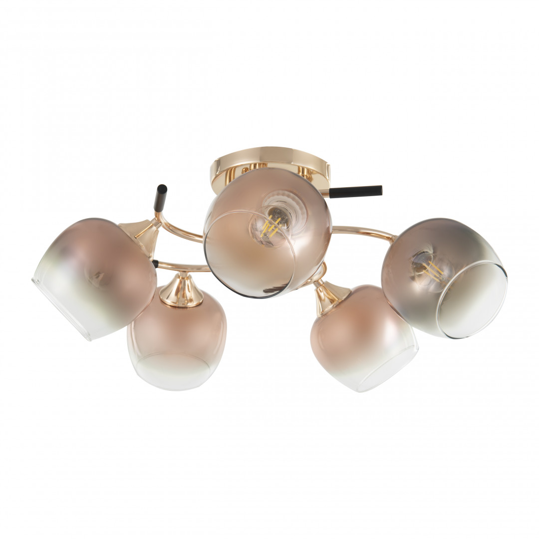 Люстра с плафонами 324985/5 FG+BK Arte Milano