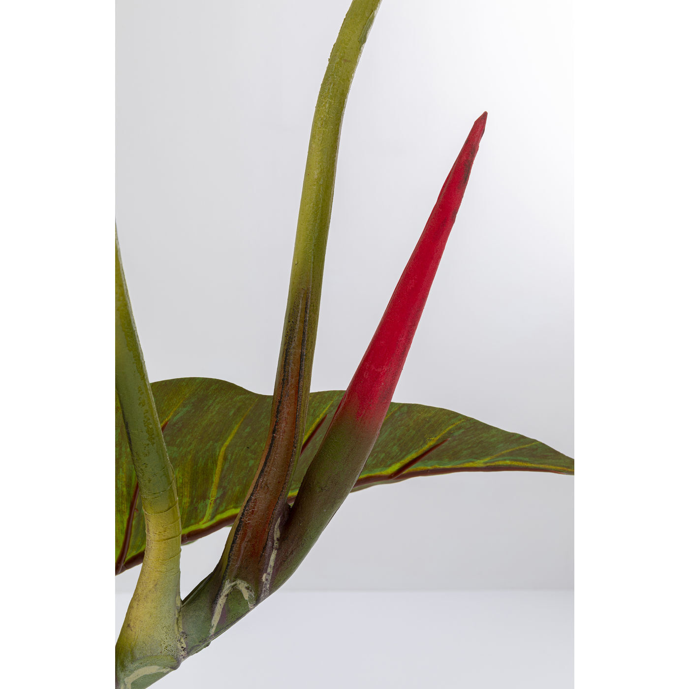 Предмет декоративный Taro 52222 KARE