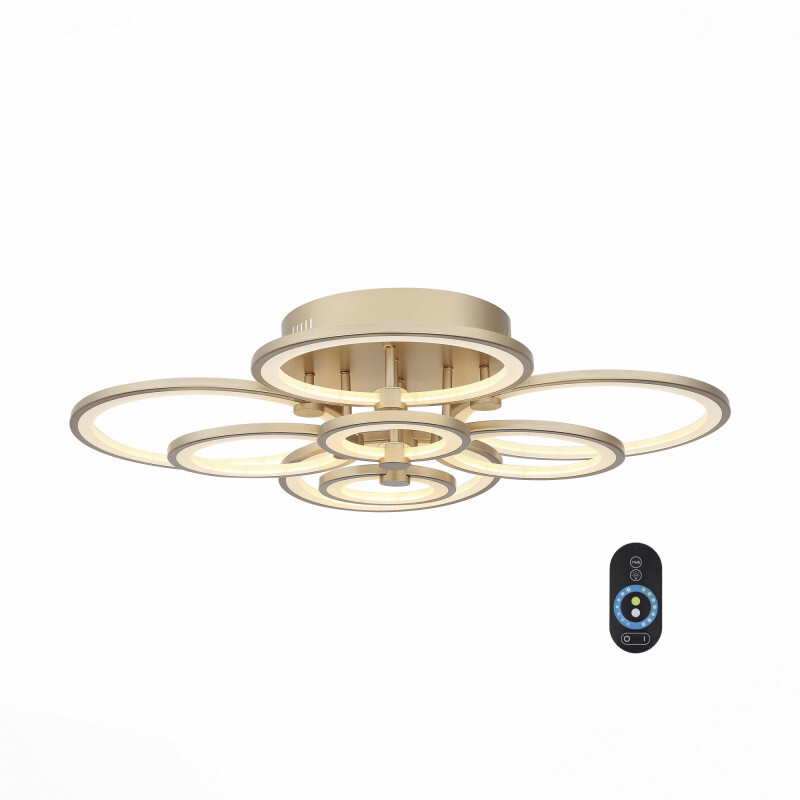 Накладной светильник ST Luce SL867.202.08