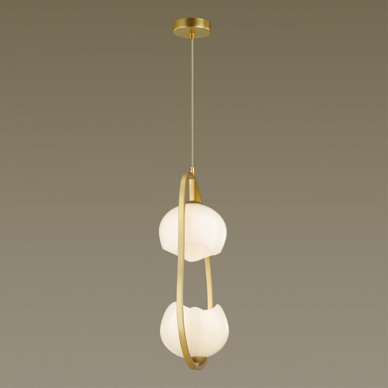 Подвесной светильник Odeon Light 4873/2