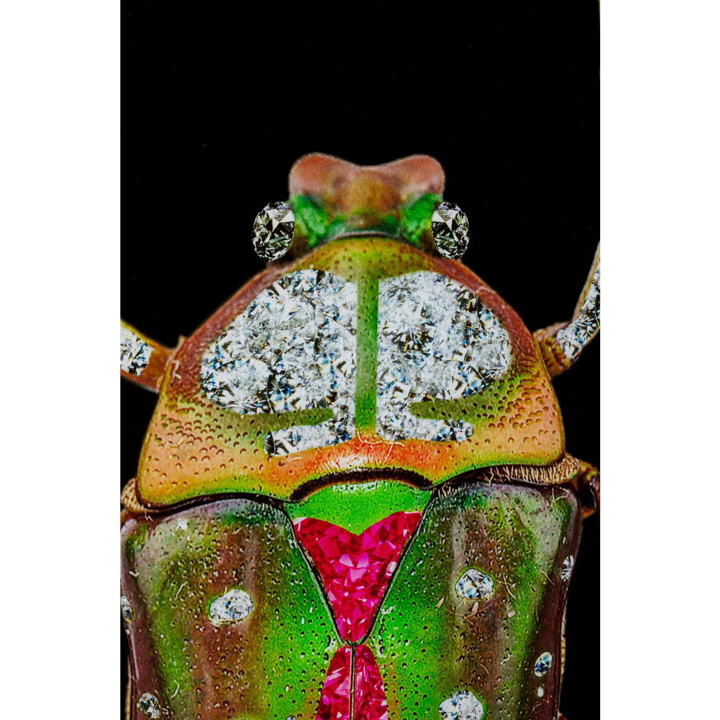 Картина Beetle 53592 Kare