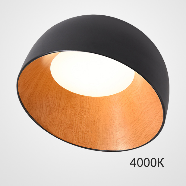 Потолочный светильник NORDA B Black 4000К by ImperiumLoft