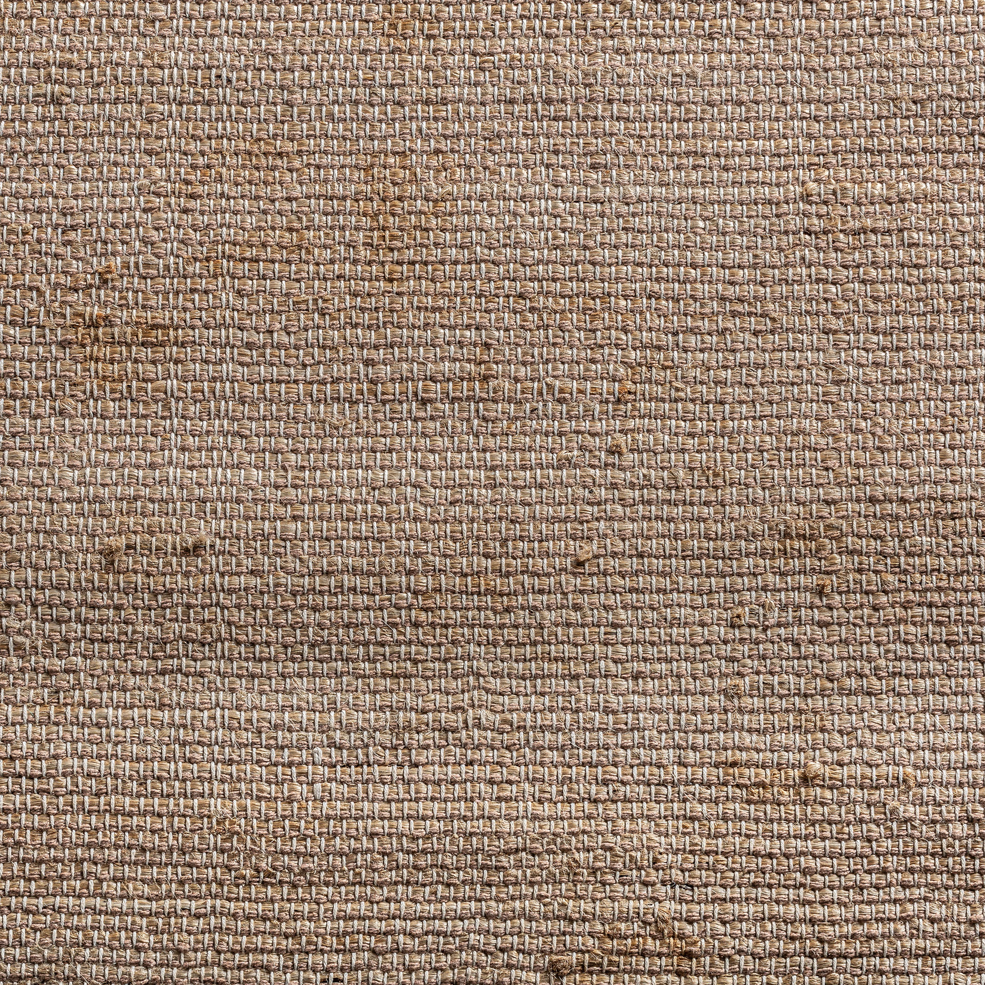 Ковер Jiona 340x240 Vical