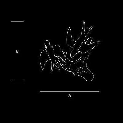 Настенный светильник Serip Voa AP1511/2