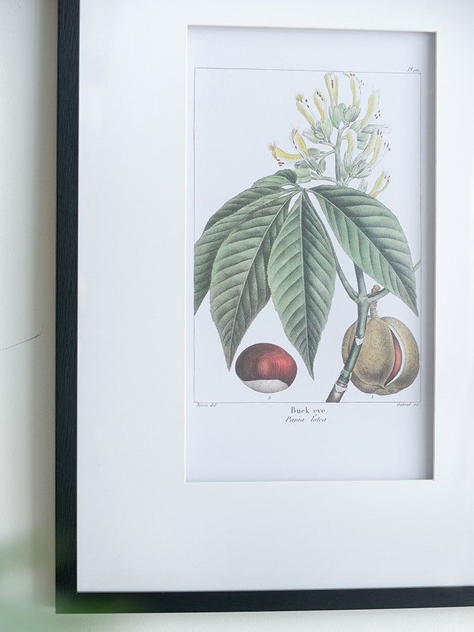 Панно Флора, набор Glasar SA80035-AB