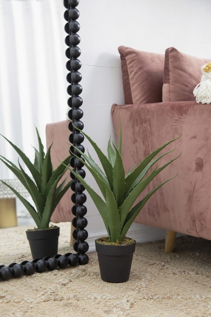 Растение декоративное Алоэ Glasar 420020-AB